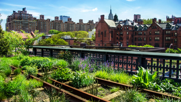 New York Chelsea